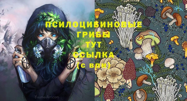 метадон Приозерск