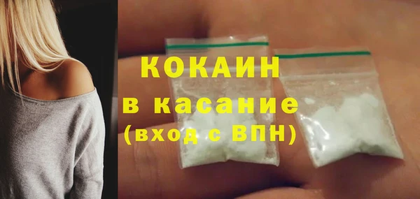 прущие грибы Россошь