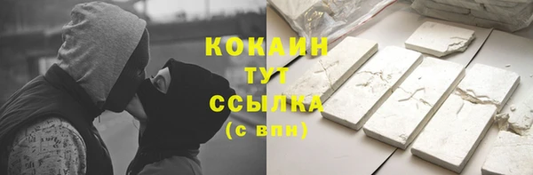 прущие грибы Россошь