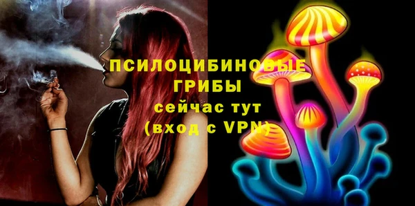 прущие грибы Россошь