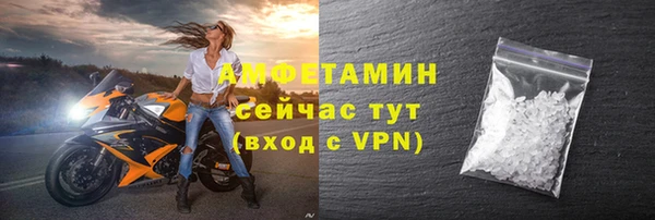 прущие грибы Россошь