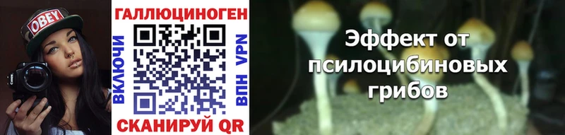 Псилоцибиновые грибы мухоморы  Семёнов 